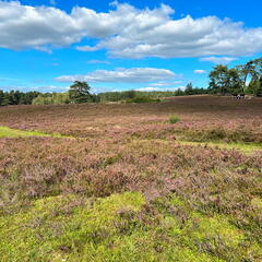 23-09-14 14-58-10 6883